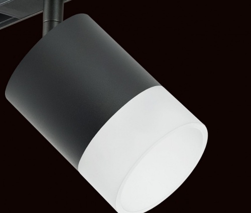 Светильник на штанге Lightstar Rullo PRO348781 фото 4 Светильник на штанге Lightstar Rullo PRO348781 фото 4