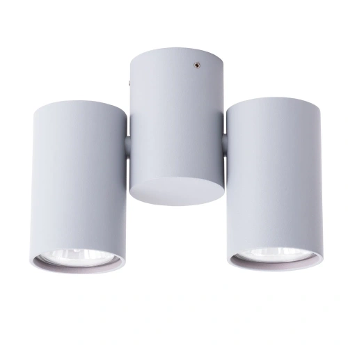Спот Arte Lamp GAVROCHE A1511PL-2GY Спот Arte Lamp GAVROCHE A1511PL-2GY