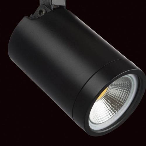 Светильник на штанге Lightstar Rullo 212937 фото 4