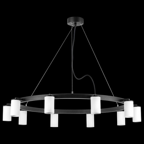 Подвесная люстра Lightstar Rullo LR020360 фото 3