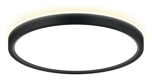 Накладной светильник Citilux NORMA CL748241 Накладной светильник Citilux NORMA CL748241