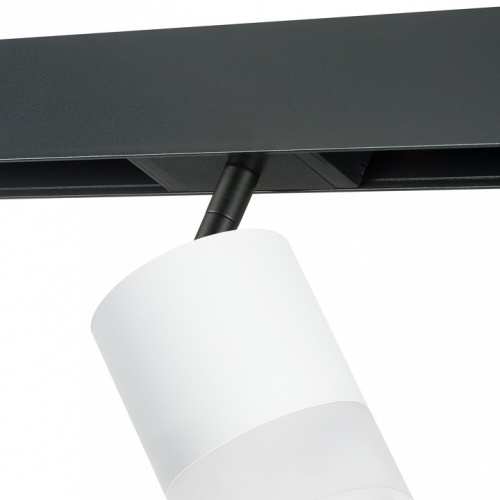 Светильник на штанге Lightstar Rullo PRO348681 фото 3 Светильник на штанге Lightstar Rullo PRO348681 фото 3