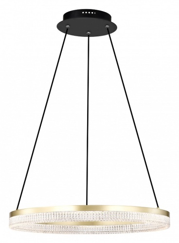 Подвесной светильник Lightstar Rotonda 736161 фото 2