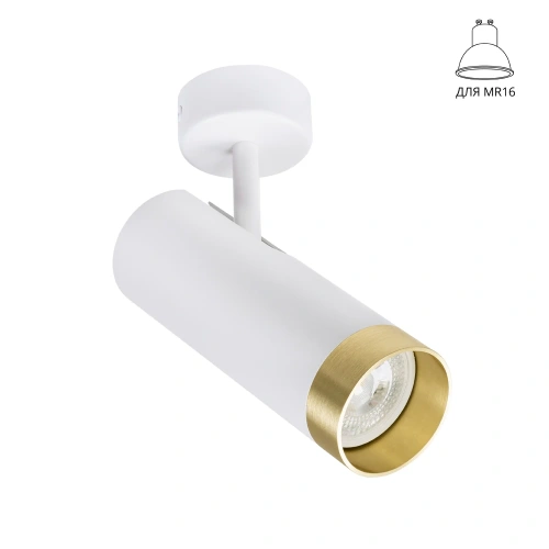 Спот Arte Lamp TOPIC A2357PL-1WH Спот Arte Lamp TOPIC A2357PL-1WH