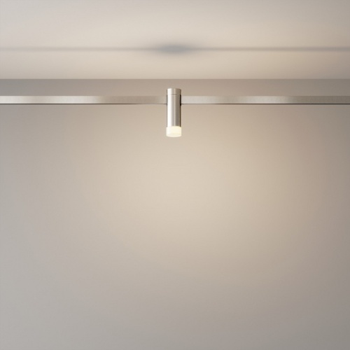 Накладной светильник Maytoni Technical Skim TR145-1-3W3K-W-PT фото 2 Накладной светильник Maytoni Technical Skim TR145-1-3W3K-W-PT фото 2