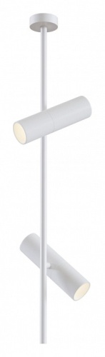 Светильник на штанге Maytoni Technical Elti C021CL-02W Светильник на штанге Maytoni Technical Elti C021CL-02W
