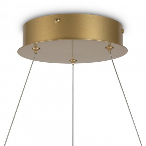 Подвесной светильник Maytoni Halo MOD100PL-L88BSK1 фото 5