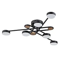Потолочная люстра Arte Lamp TAYGETA A2455PL-6BK