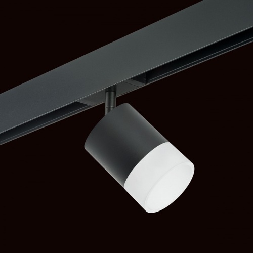 Светильник на штанге Lightstar Rullo PRO348781 фото 2 Светильник на штанге Lightstar Rullo PRO348781 фото 2