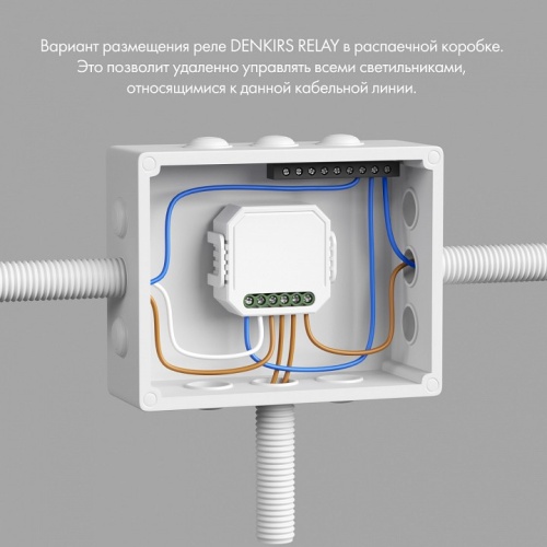 Контроллер-диммер Wi-Fi для смартфонов и планшетов Denkirs Relay RL1004-DM/1 фото 5 Контроллер-диммер Wi-Fi для смартфонов и планшетов Denkirs Relay RL1004-DM/1 фото 5