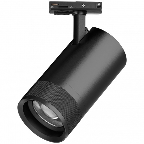 Светильник на штанге Lightstar Canno Pro C4407SS фото 2