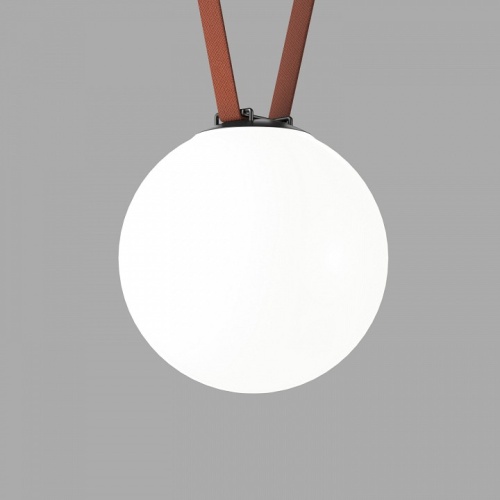Накладной светильник Denkirs Belty Orb DK5554-BK фото 2 Накладной светильник Denkirs Belty Orb DK5554-BK фото 2
