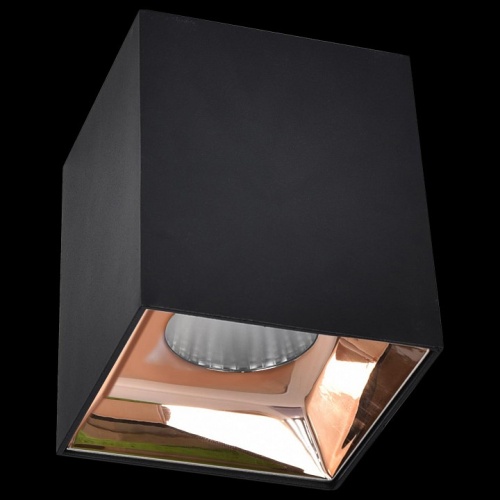 Накладной светильник Citilux Старк 1 CL7440213 фото 2 Накладной светильник Citilux Старк 1 CL7440213 фото 2