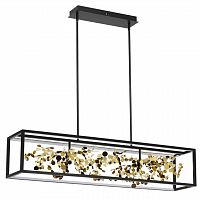 Светильник на штанге Odeon Light Bild 5065/65L