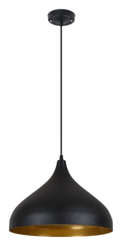 Подвесной светильник Arte Lamp CARMEL A7076SP-1BK фото 2
