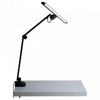 Настольная лампа офисная Uniel ULM-D116 UL-00011748