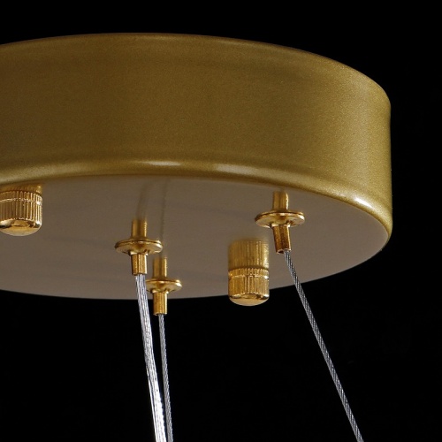 Подвесная люстра THERA D50 Gold фото 8 Подвесная люстра THERA D50 Gold фото 8