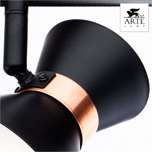Спот Arte Lamp Baltimore A1406AP-2BK фото 4