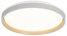 Накладной светильник Citilux ENZO CL753510G