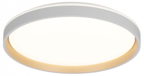 Накладной светильник Citilux ENZO CL753510G Накладной светильник Citilux ENZO CL753510G