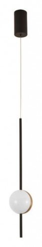 Подвесной светильник Arte Lamp Furud A2124SP-1BK фото 3