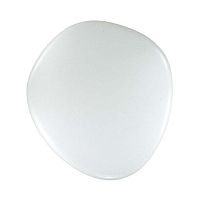 SONEX 2039/DL COLOR SN 084 Светильник пластик/белый LED 48Вт 3000-6300K 500х460 IP43 пульт ДУ STONE