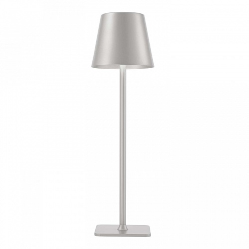 Настольная лампа декоративная F-promo Pyari 4617-1T фото 2