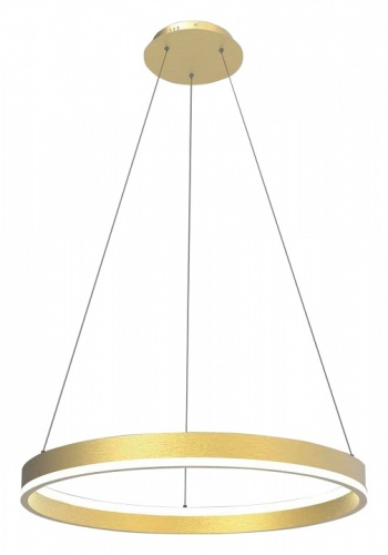 Подвесной светильник Lightstar Rotonda 736402 фото 2 Подвесной светильник Lightstar Rotonda 736402 фото 2