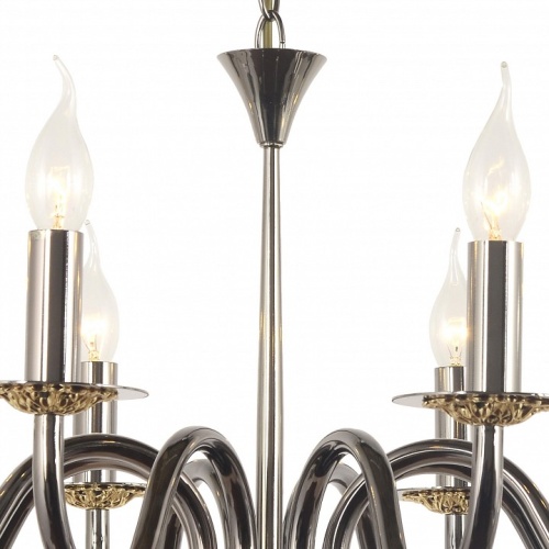 Подвесная люстра Arti Lampadari Pontone Pontone E 1.1.8 PB фото 2 Подвесная люстра Arti Lampadari Pontone Pontone E 1.1.8 PB фото 2