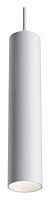 Подвесной светильник Maytoni Track lamps TR016-2-12W4K-W