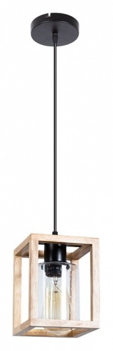 Подвесной светильник Arte Lamp DUBLIN A7025SP-1BK фото 2