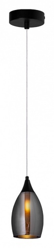 Подвесной светильник Arte Lamp BARRY A7951SP-1BK фото 2 Подвесной светильник Arte Lamp BARRY A7951SP-1BK фото 2