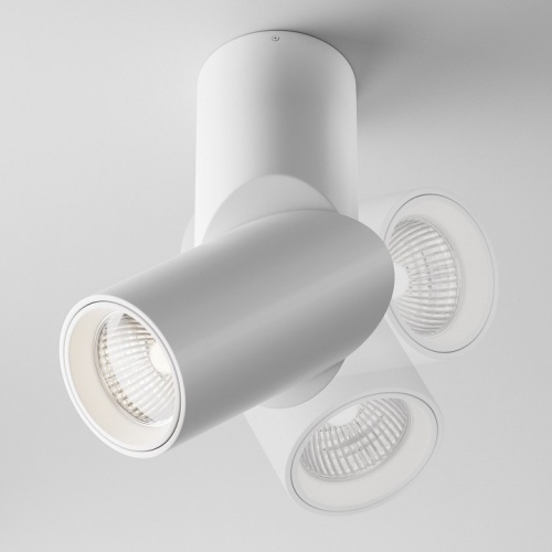 Светильник на штанге Maytoni Technical Dafne C027CL-L10W4K фото 3
