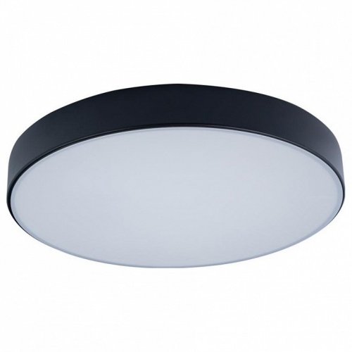 Накладной светильник Loft it Axel 1 10002/24 Black Накладной светильник Loft it Axel 1 10002/24 Black