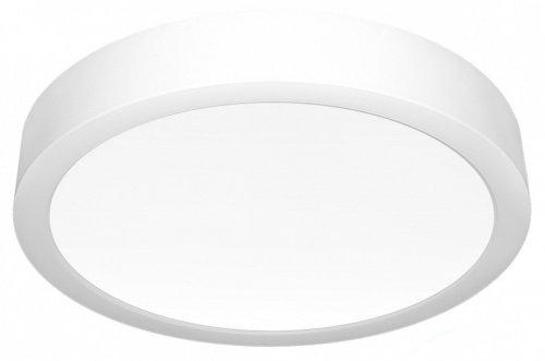 Накладной светильник Citilux Галс CL5516N Накладной светильник Citilux Галс CL5516N