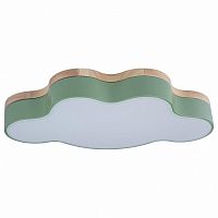 Накладной светильник Loft it Axel 4 10005/30 Green