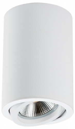 Накладной светильник Lightstar Rullo 214406 Накладной светильник Lightstar Rullo 214406