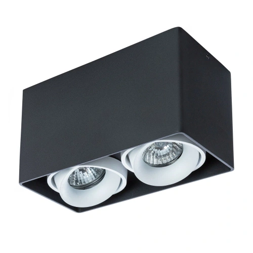 Точечный накладной светильник Arte Lamp PICTOR A5654PL-2BK Точечный накладной светильник Arte Lamp PICTOR A5654PL-2BK
