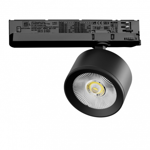 Светильник на штанге Lightstar Alta Pro A5537TRIAC фото 2