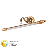 Подсветка для картин Arte Lamp CHIANTI A8048AP-1PB