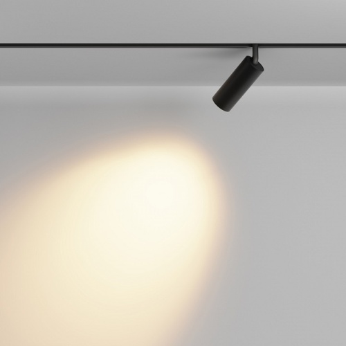 Светильник на штанге Maytoni Technical Focus LED TR032-2-12W2.7K-M-B фото 3