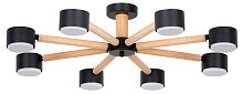 Потолочная люстра Arte Lamp TENDA A1624PL-8BK