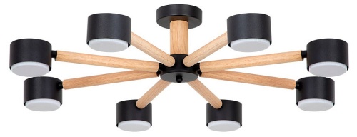 Потолочная люстра Arte Lamp TENDA A1624PL-8BK