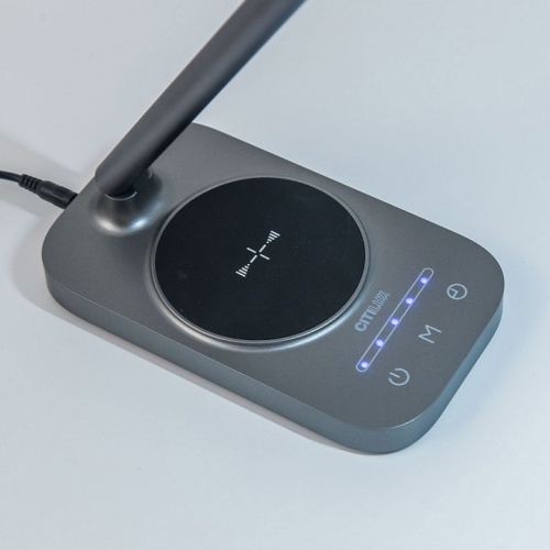 Настольная лампа декоративная Citilux Ньютон CL803052 фото 3