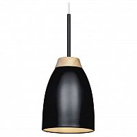 Подвесной светильник Loft it Watchman LOFT4402A-BL