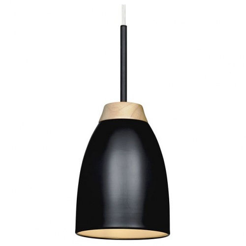 Подвесной светильник Loft it Watchman LOFT4402A-BL Подвесной светильник Loft it Watchman LOFT4402A-BL