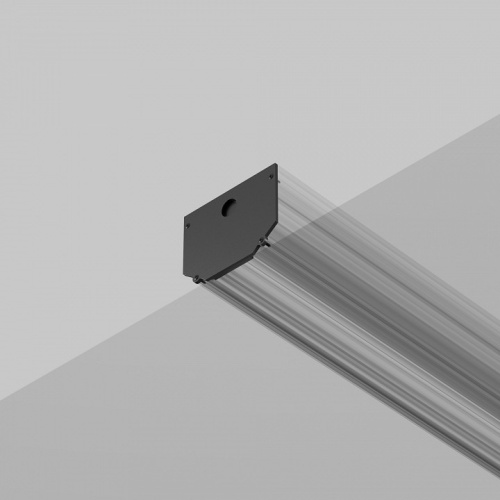 Заглушка для трека Maytoni Technical Accessories for tracks Exility TRA034EC-SCH-42B фото 2