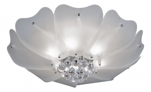 Накладной светильник Lightstar Lobo 804020 Накладной светильник Lightstar Lobo 804020