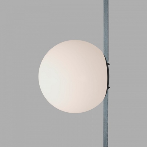 Накладной светильник Denkirs BELTY ORB DK5550-BK фото 10 Накладной светильник Denkirs BELTY ORB DK5550-BK фото 10
