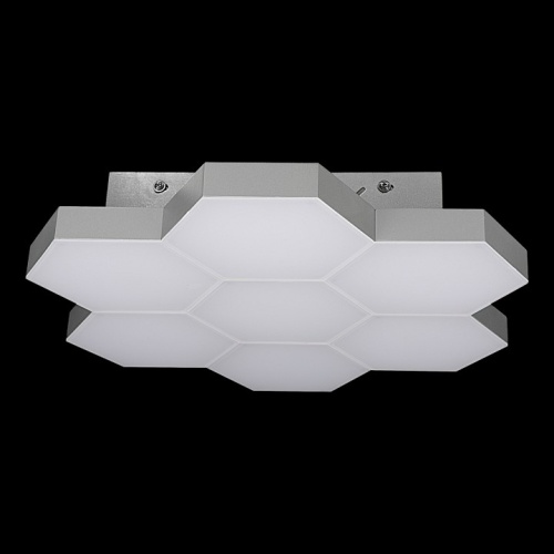 Накладной светильник Lightstar Favo 750074 фото 2